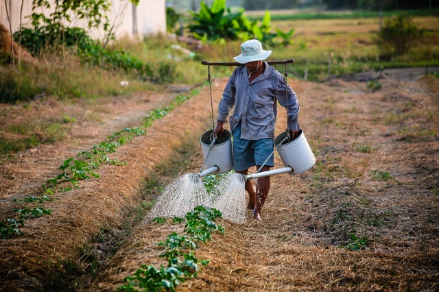 250 jeunes primo entrepreneurs outillés sur l’entrepreneuriat agricole