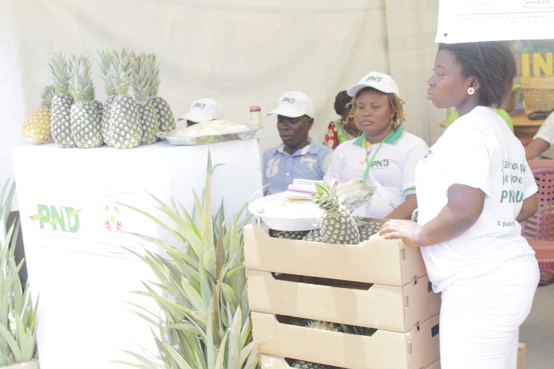Togo/PND Tour: les entrepreneurs verts du zio veulent conquérir le monde grâce au PND