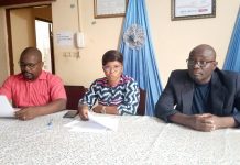 Vue partielle lors du lancement du projet