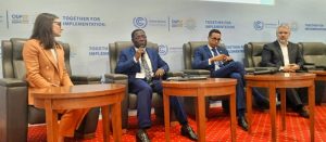 Vue du ministre de l'environnement et des ressources Forestières M. Foli Bazi Katari lors du lancement