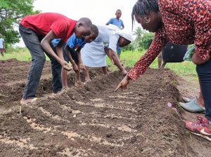 Vue des élèves pratiquant l'Agro écologie/IMG SECAAR