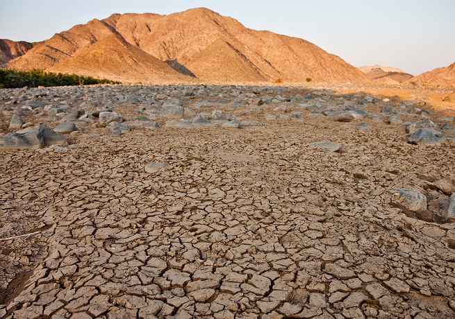 Crise climatique et souveraineté alimentaire : renouveler les manières d’agir ensemble