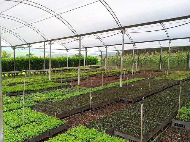 L’agriculture urbaine durable, une nécessité pour les villes ?