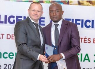 Révolution Énergétique en Afrique : L’IA et l’Expertise de Jérôme Ribeiro et Dr. Malik Morris Mouzou