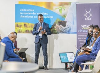 COP29 : La BOAD renforce son engagement pour l’énergie solaire en Afrique de l’Ouest