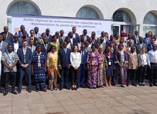 Lomé accueille 23 pays africains pour accélérer la réglementation sur la peinture au plomb